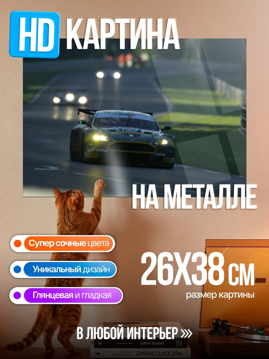 Картина на металле Гоночный автомобиль