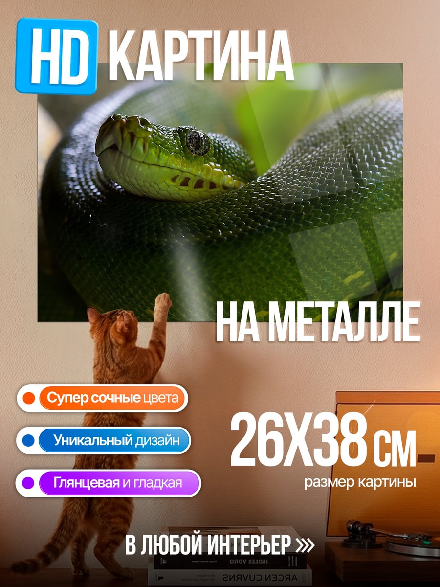 Картина на металле Зеленая змея