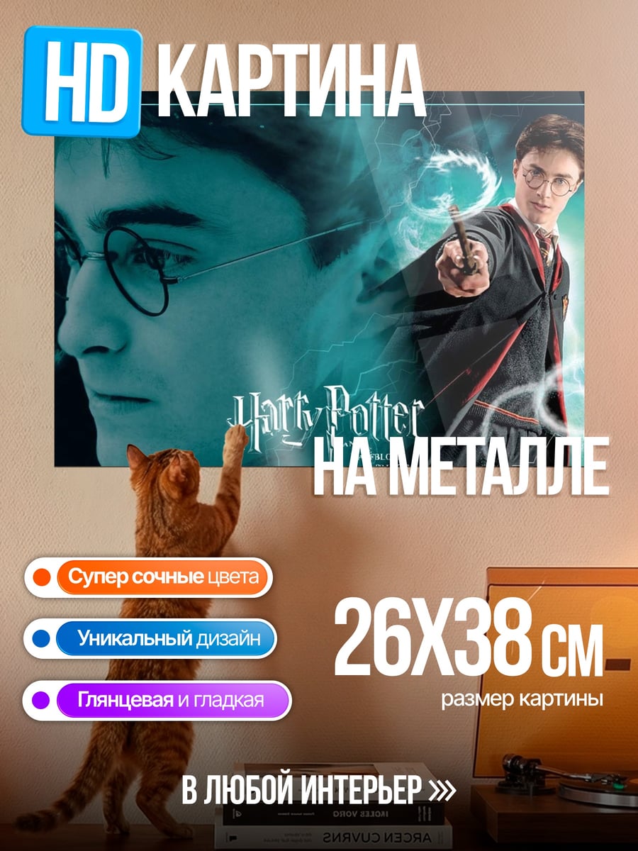 Картина на металле Гарри Поттер