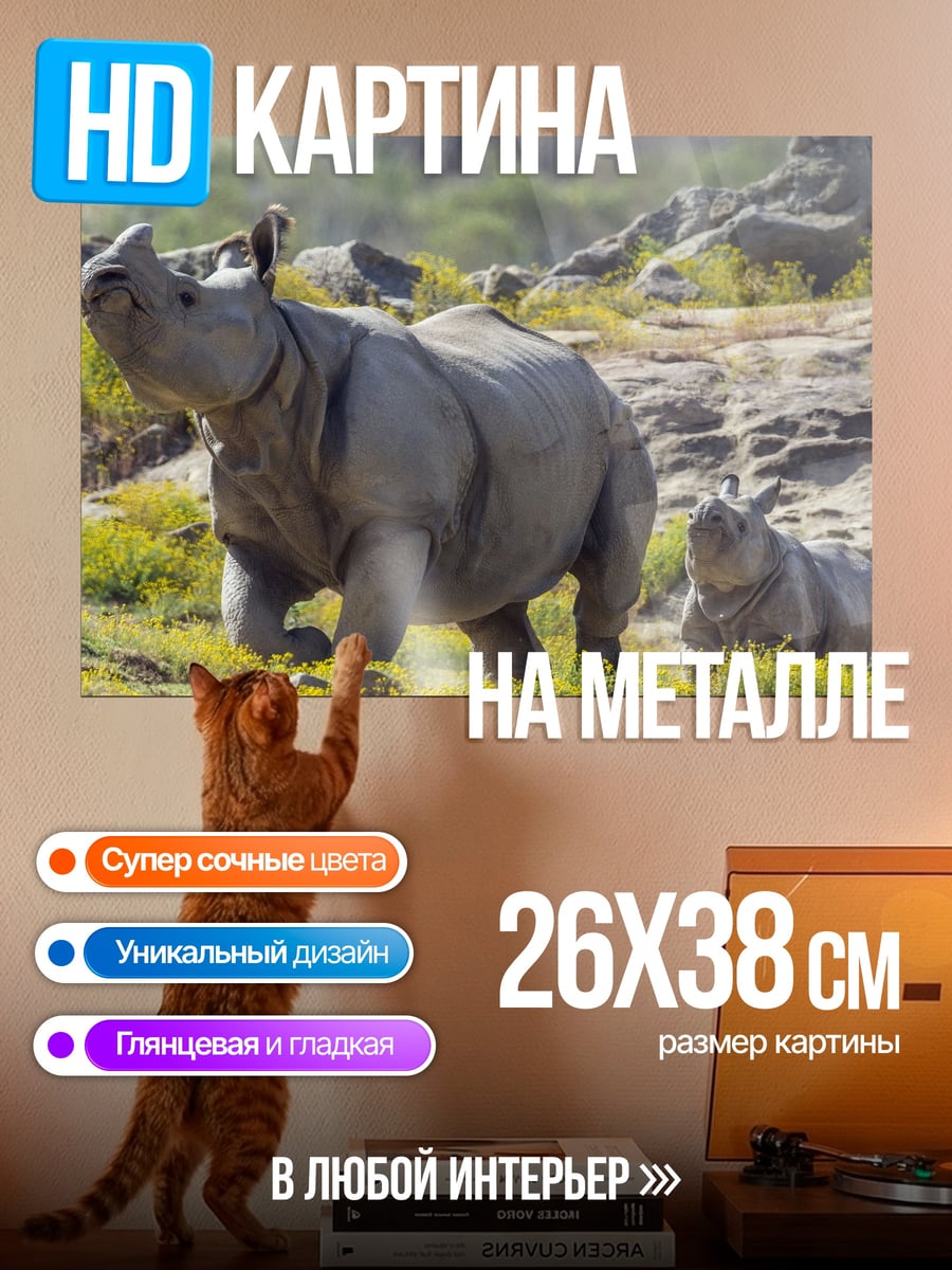 Картина на металле Носороги на холмах