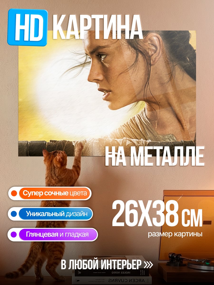 Картина на металле Рей Звездные войны