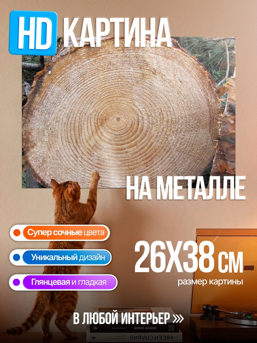 Картина на металле спил дерева
