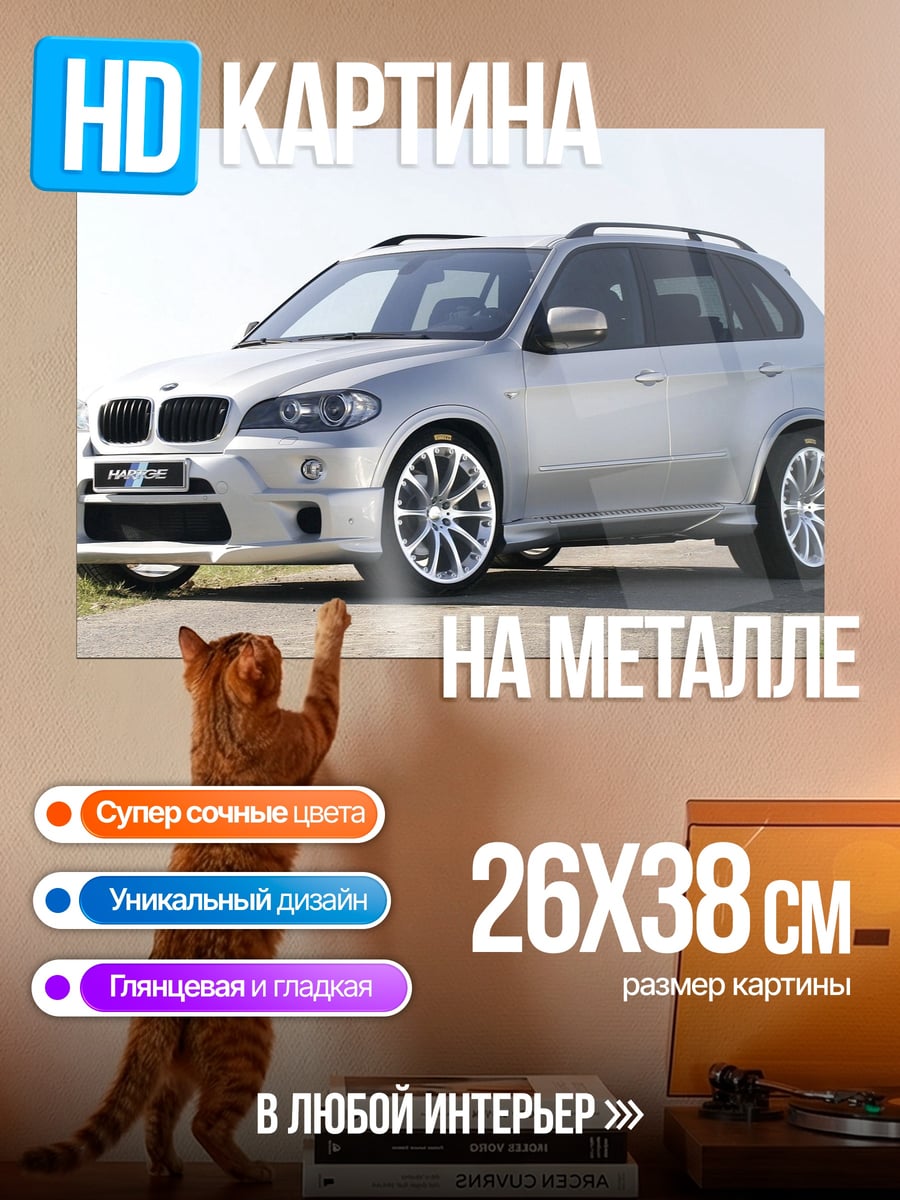 Картина на металле Серебристый BMW X5
