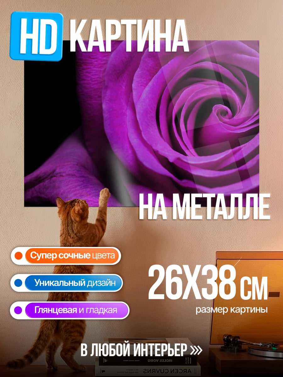 Картина на металле Фиолетовая роза
