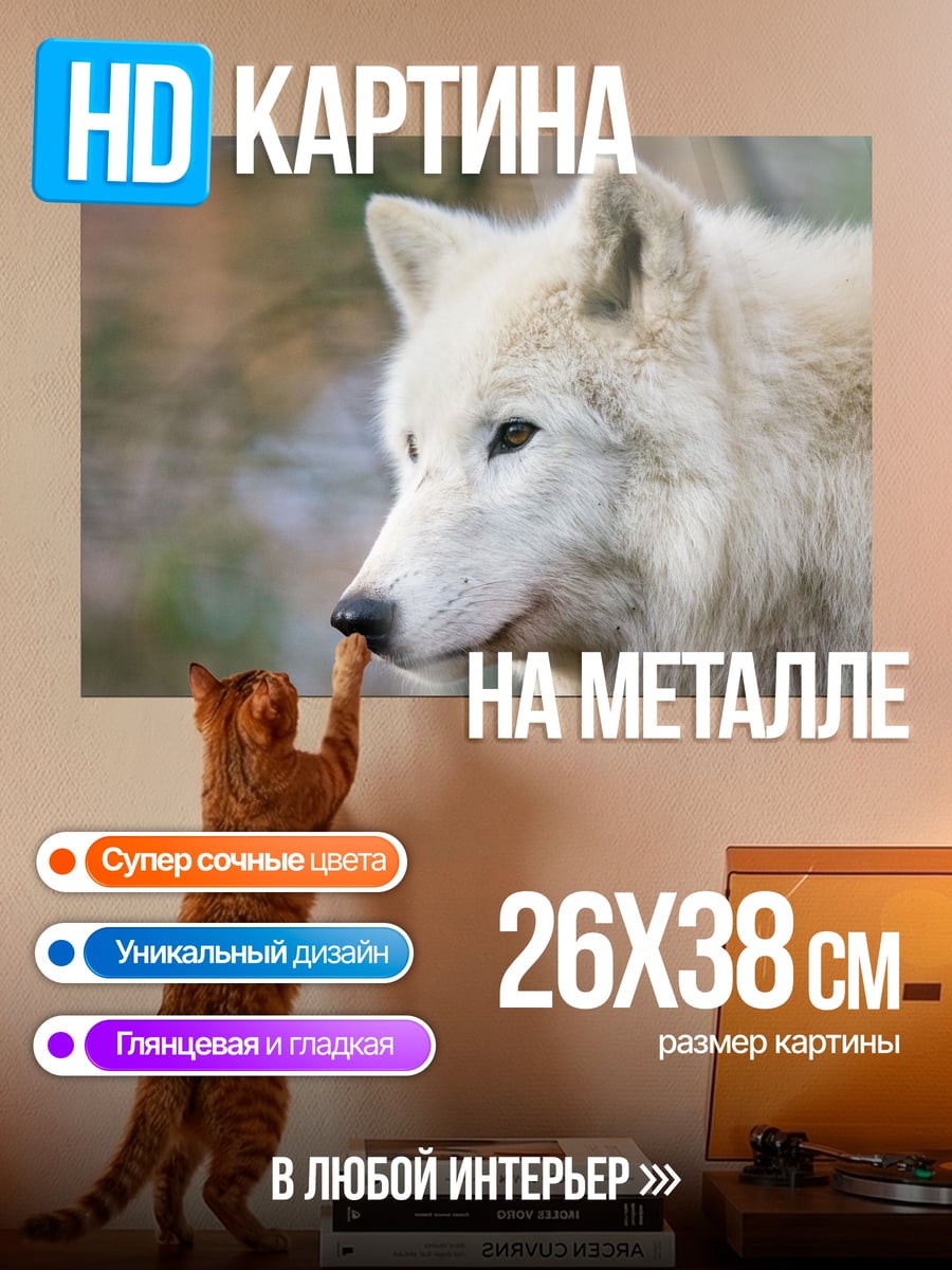 Картина на металле Белый волк в лесу