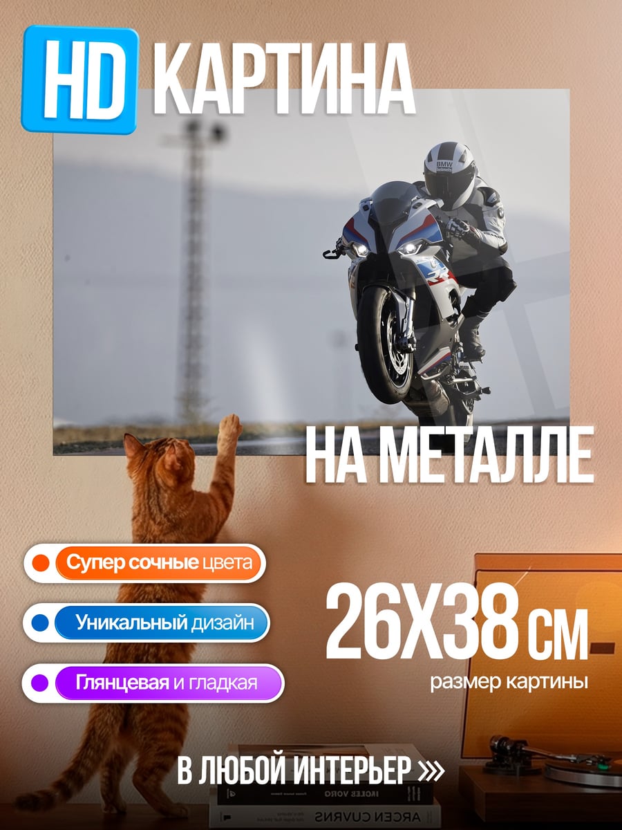 Картина на металле Мотоциклист на заднем колесе