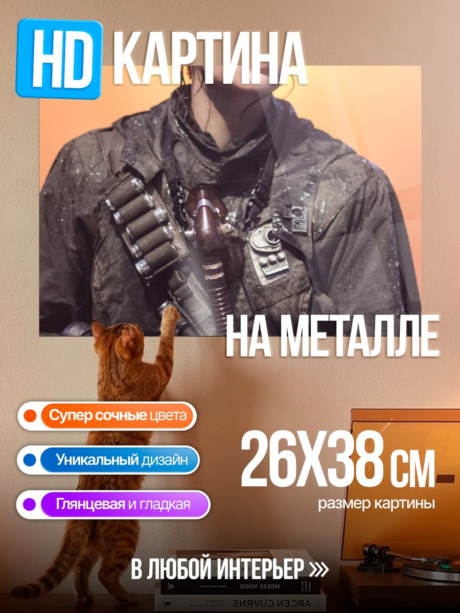 Картина на металле солдат звездного десанта
