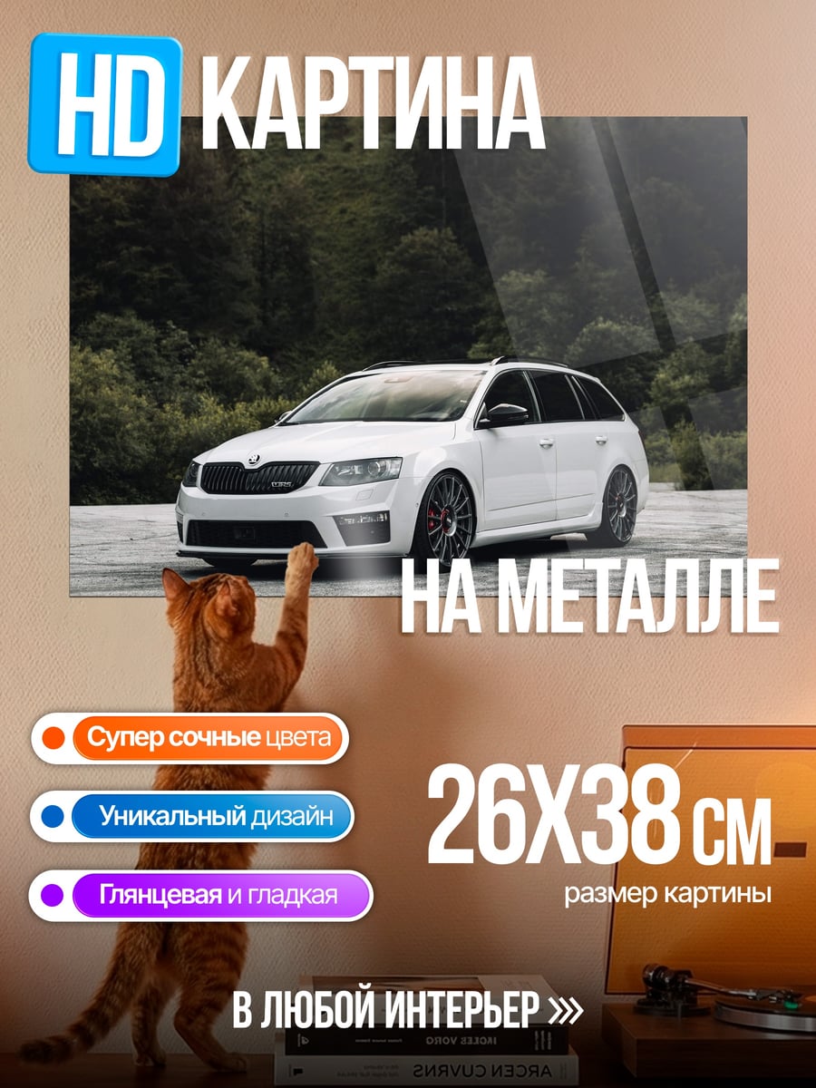 Картина на металле Белый универсал
