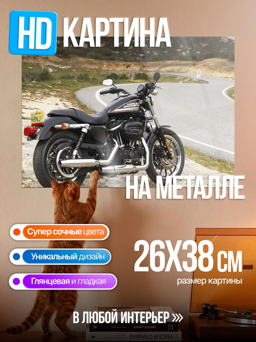 Картина на металле Мотоцикл на дороге