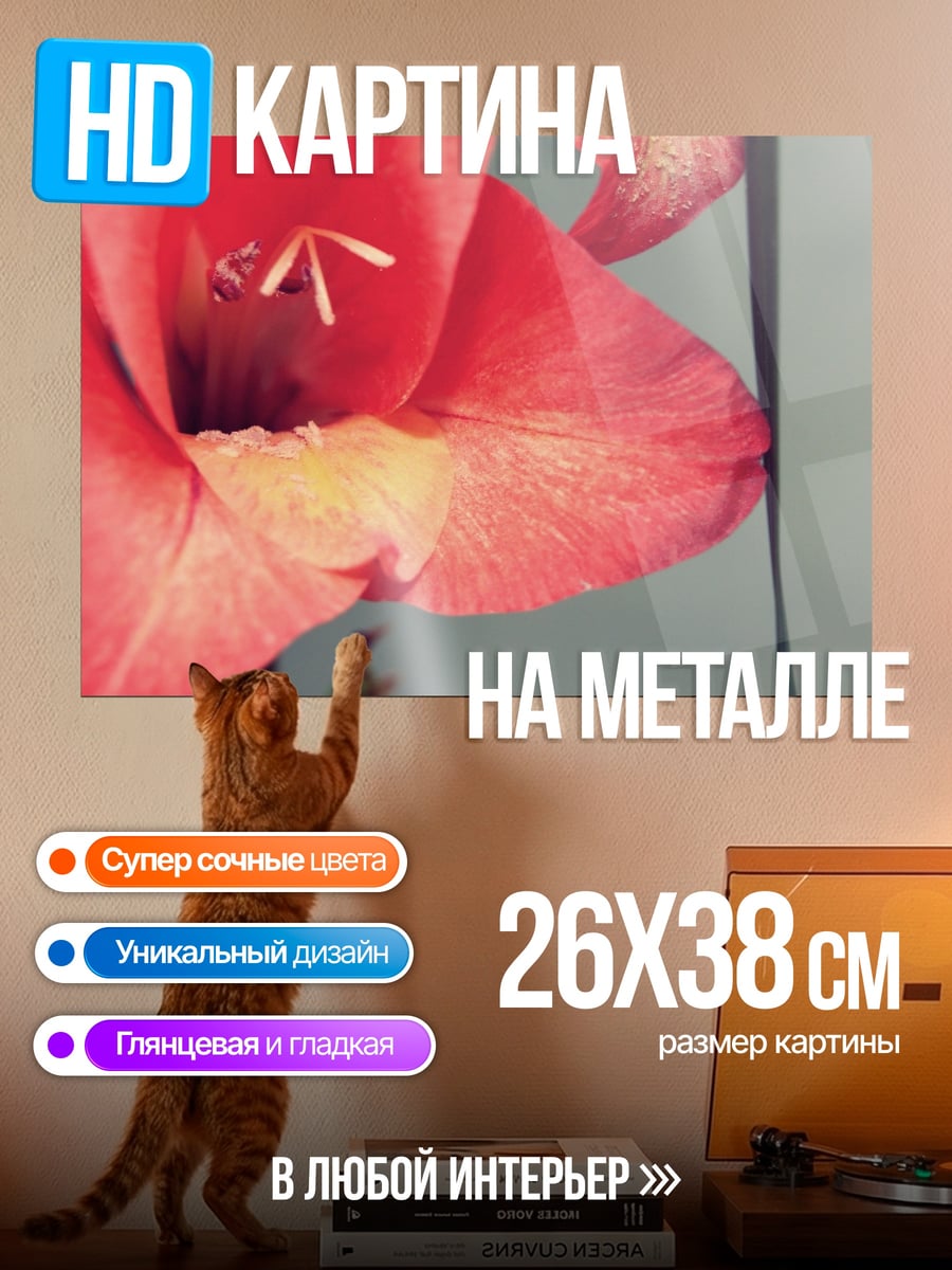 Картина на металле Крупный план гладиолуса