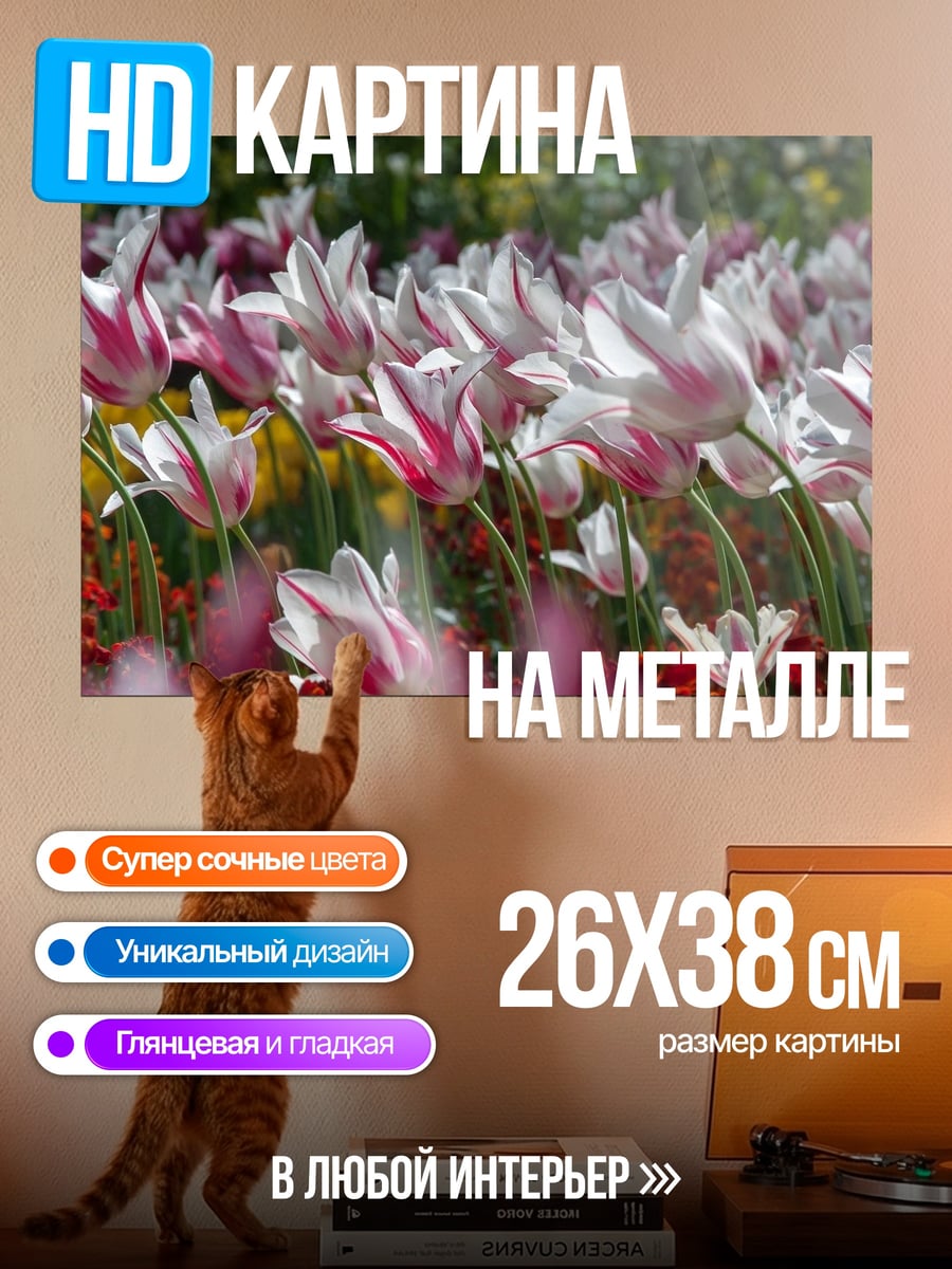 Картина на металле Поле тюльпанов весной