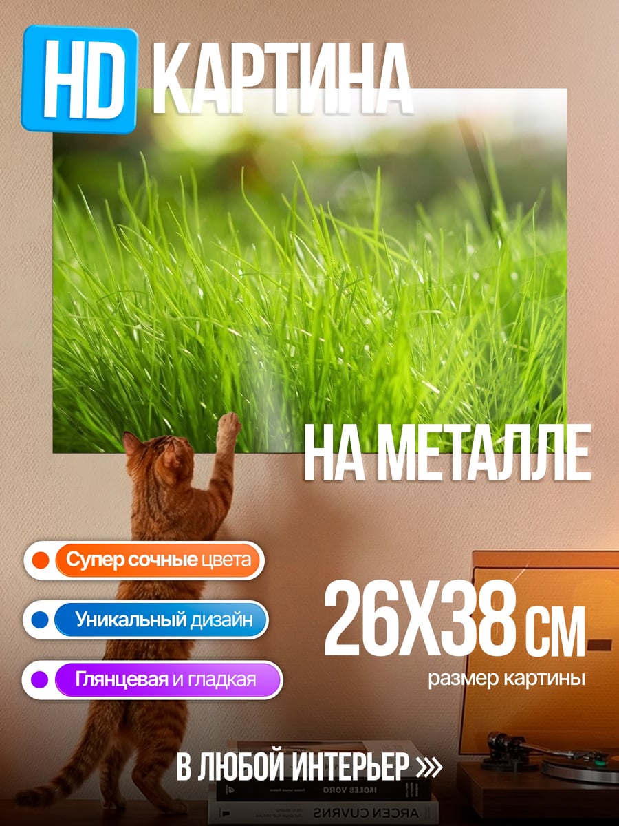 Картина на металле Зеленая трава крупным планом