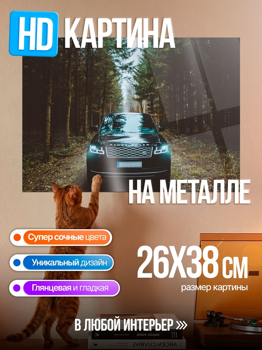 Картина на металле Черный внедорожник в лесу