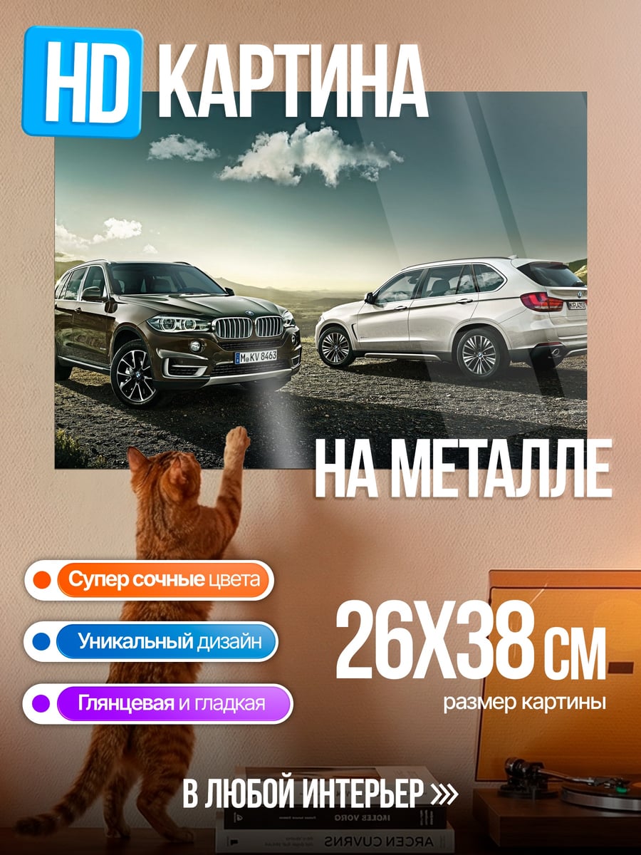 Картина на металле Два BMW X5