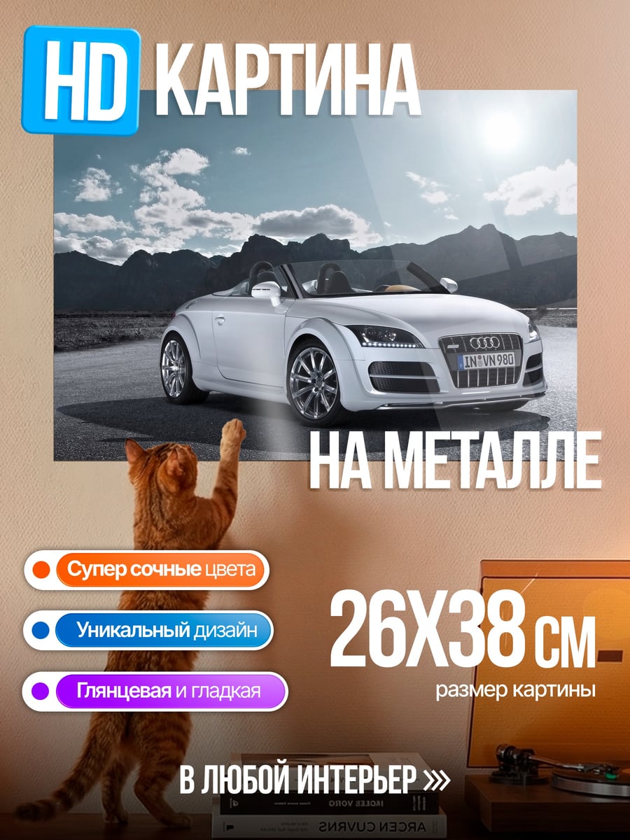 Картина на металле Белый Audi TT