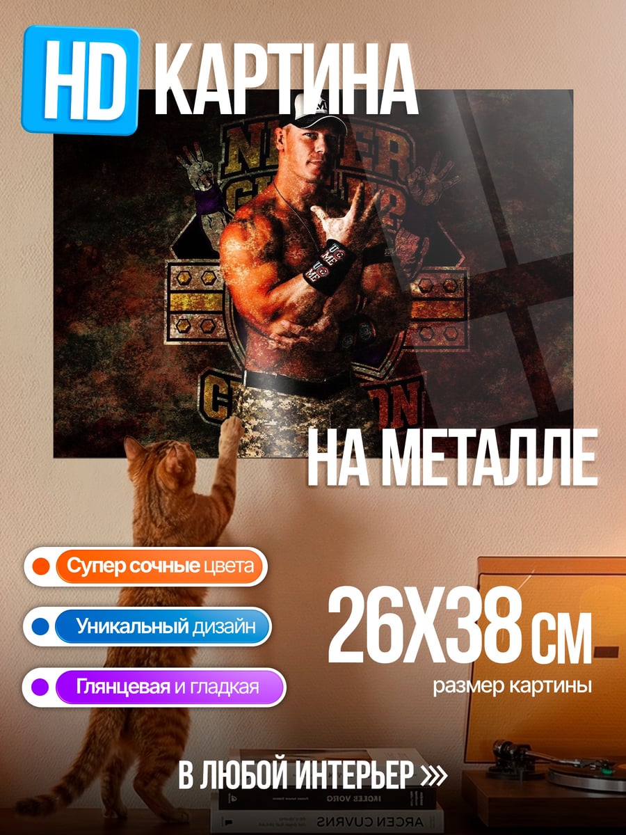 Картина на металле Джон Сина