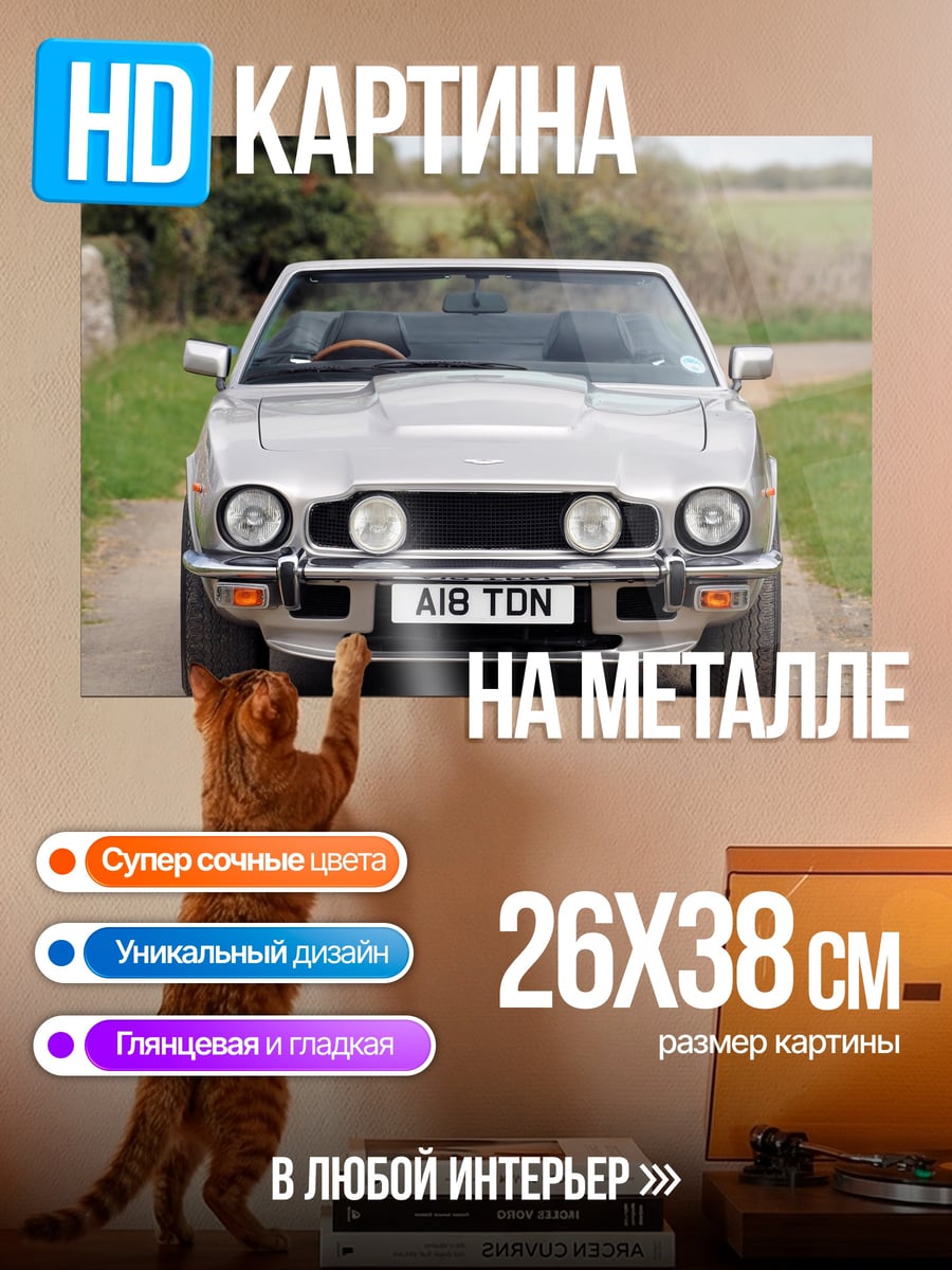 Картина на металле Классический Aston Martin
