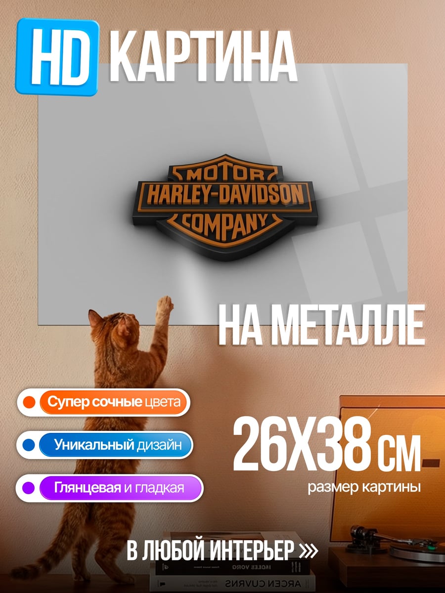 Картина на металле Логотип Harley Davidson