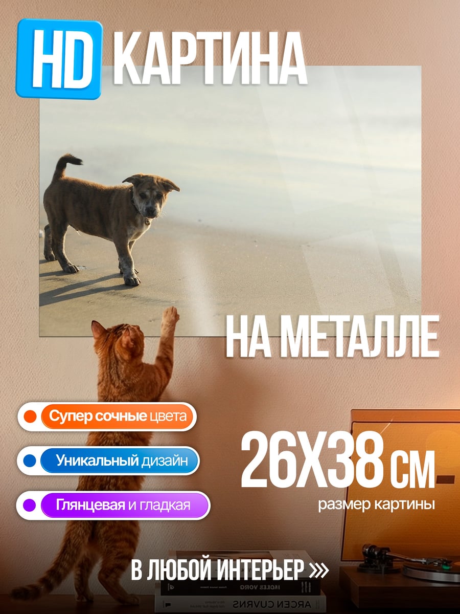 Картина на металле Собака на пляже