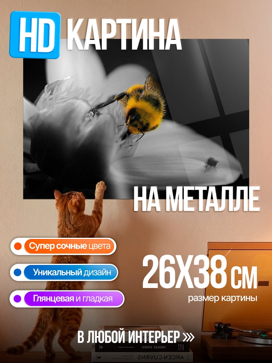 Картина на металле Шмель на цветке