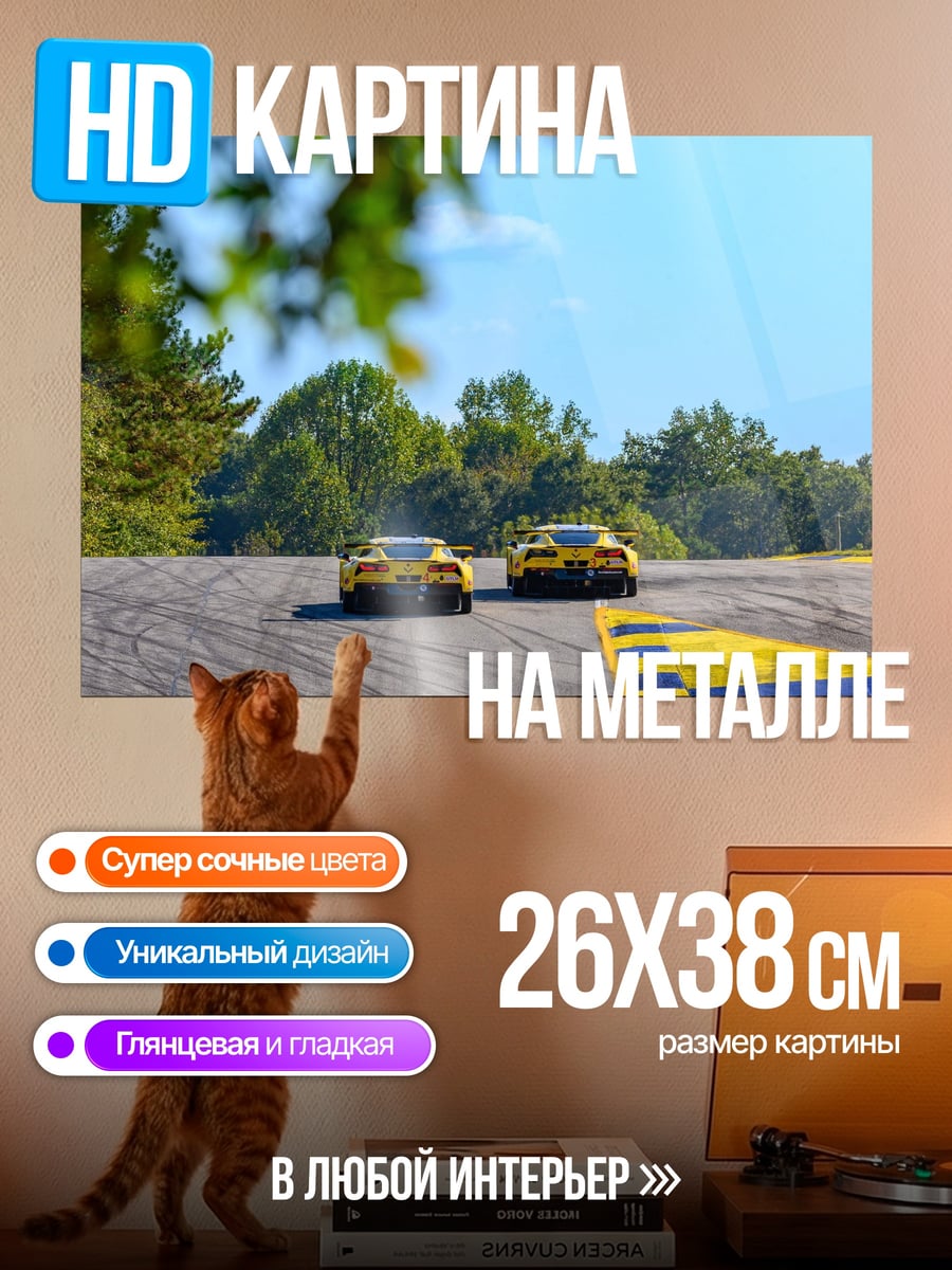 Картина на металле Гонка на спорткарах