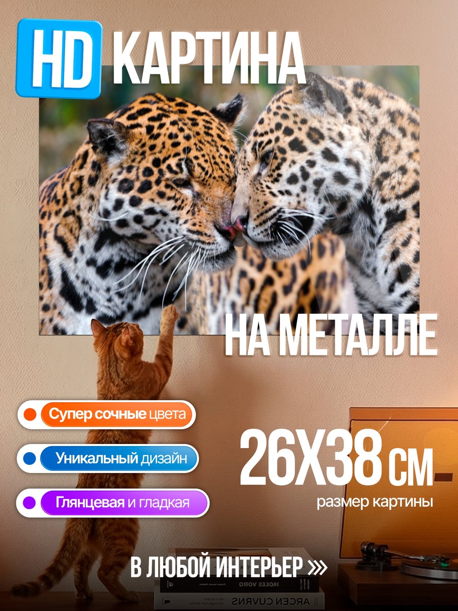 Картина на металле Две ягуара в лесу