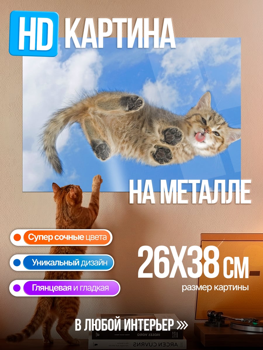 Картина на металле Кот в небе