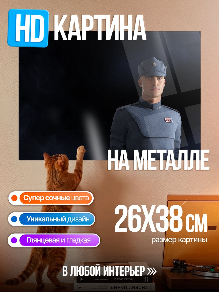 Картина на металле Имперский офицер Звездные