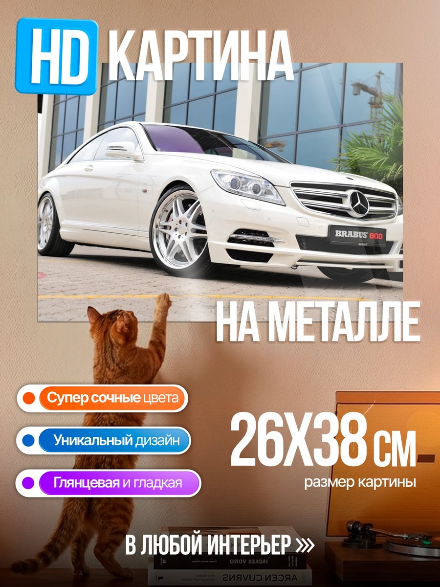 Картина на металле Белый Mercedes Brabus