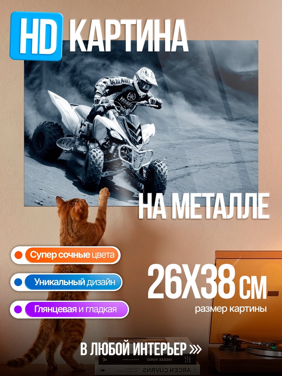 Картина на металле Гонщик на квадроцикле