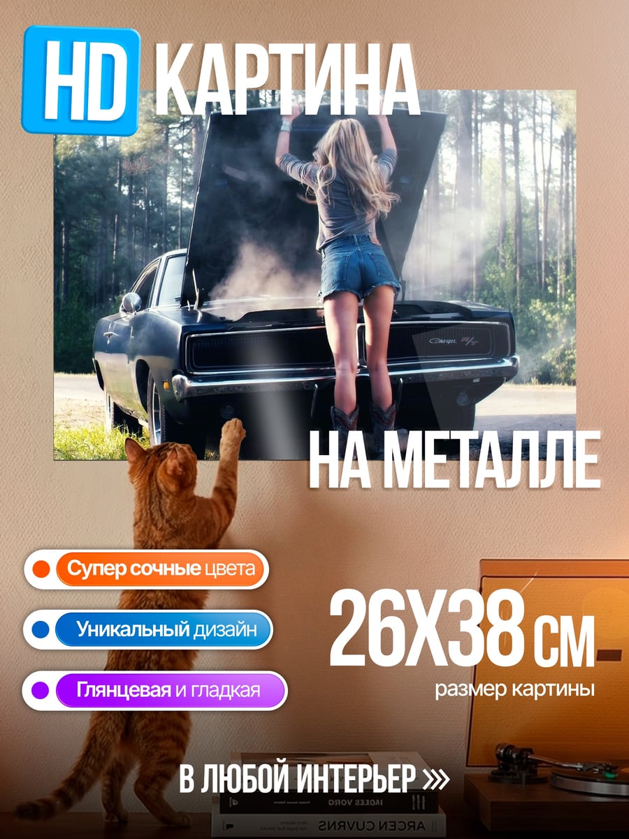 Картина на металле Девушка у сломанной машины