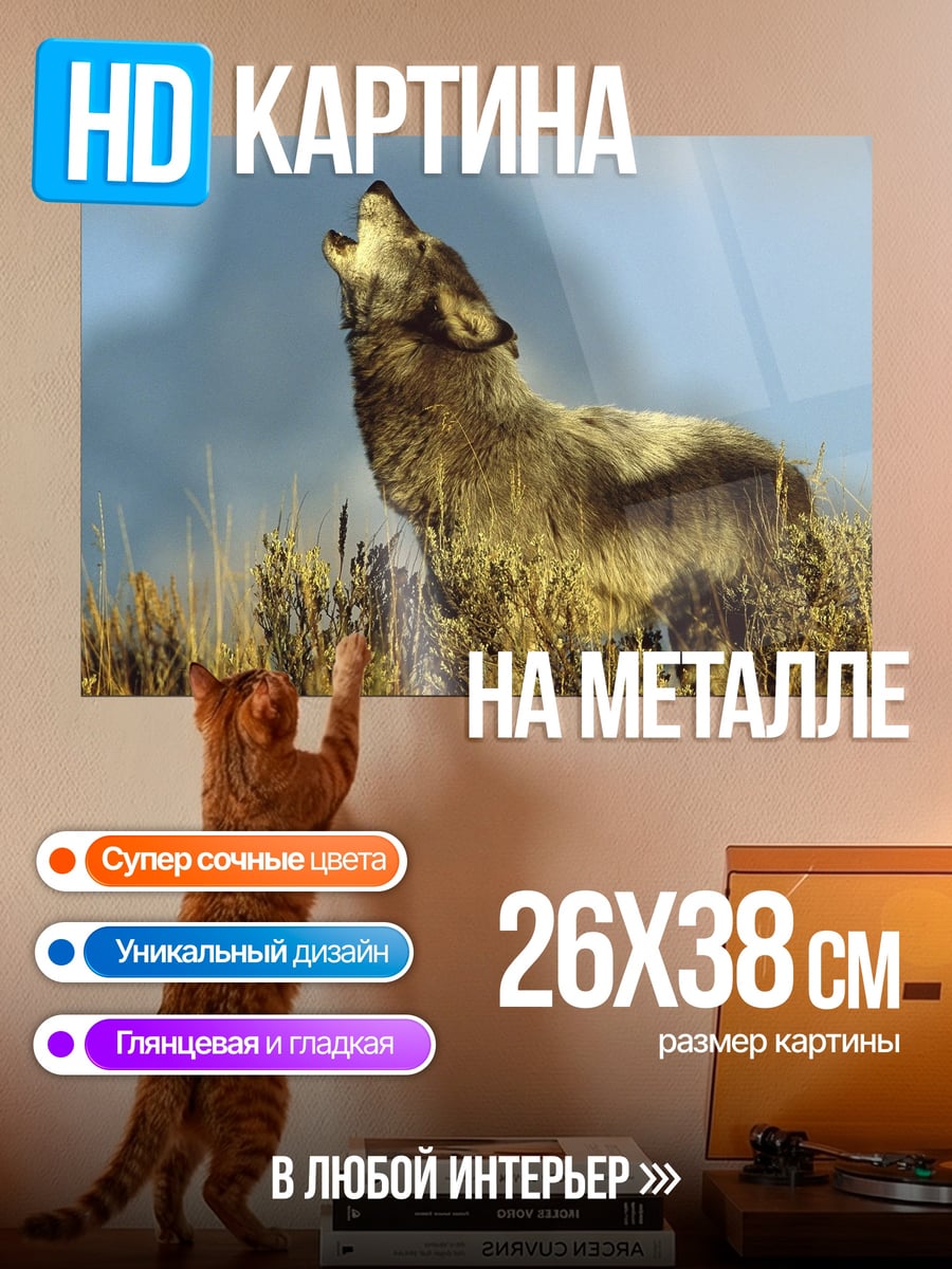 Картина на металле Воющий волк на холме
