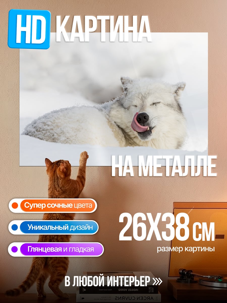 Картина на металле волк в снегу
