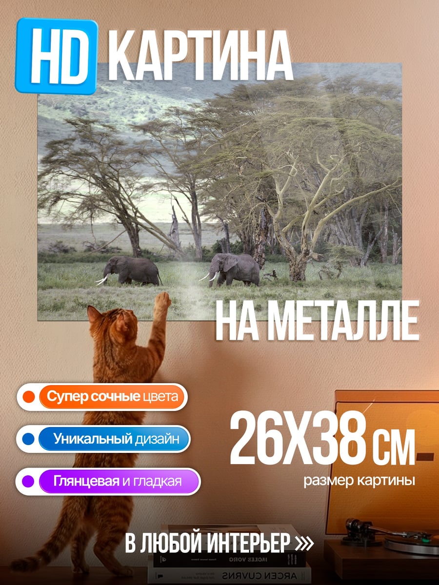 Картина на металле Африканские слоны саванна