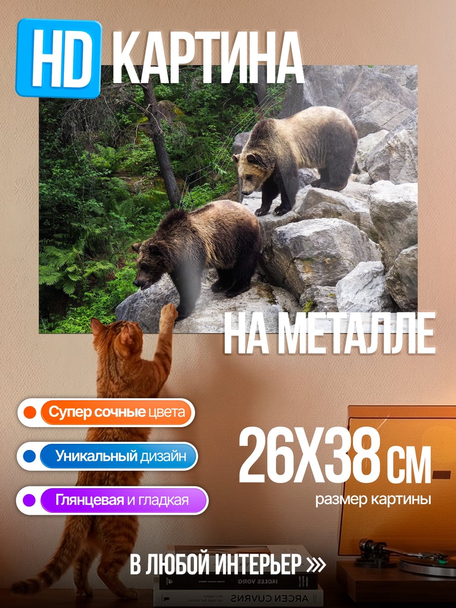 Картина на металле Медведи на камнях