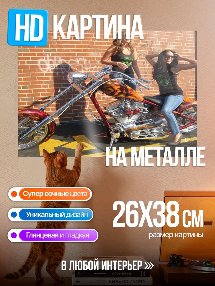 Картина на металле Девушки и чоппер