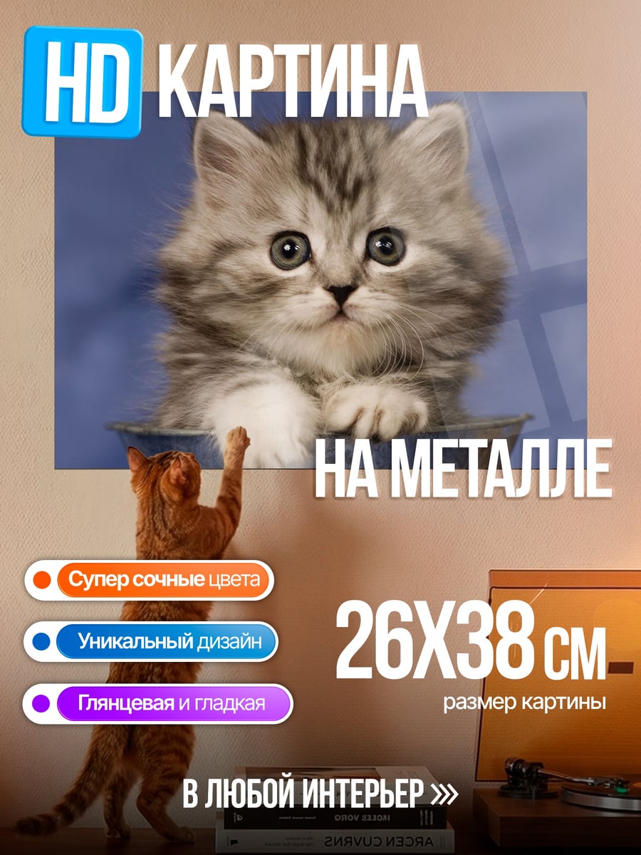 Картина на металле Пушистый котенок