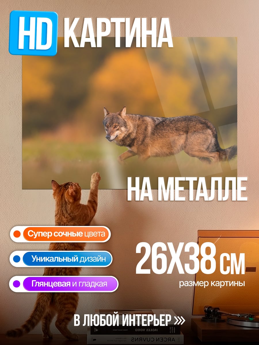 Картина на металле Бегущий волк осенью