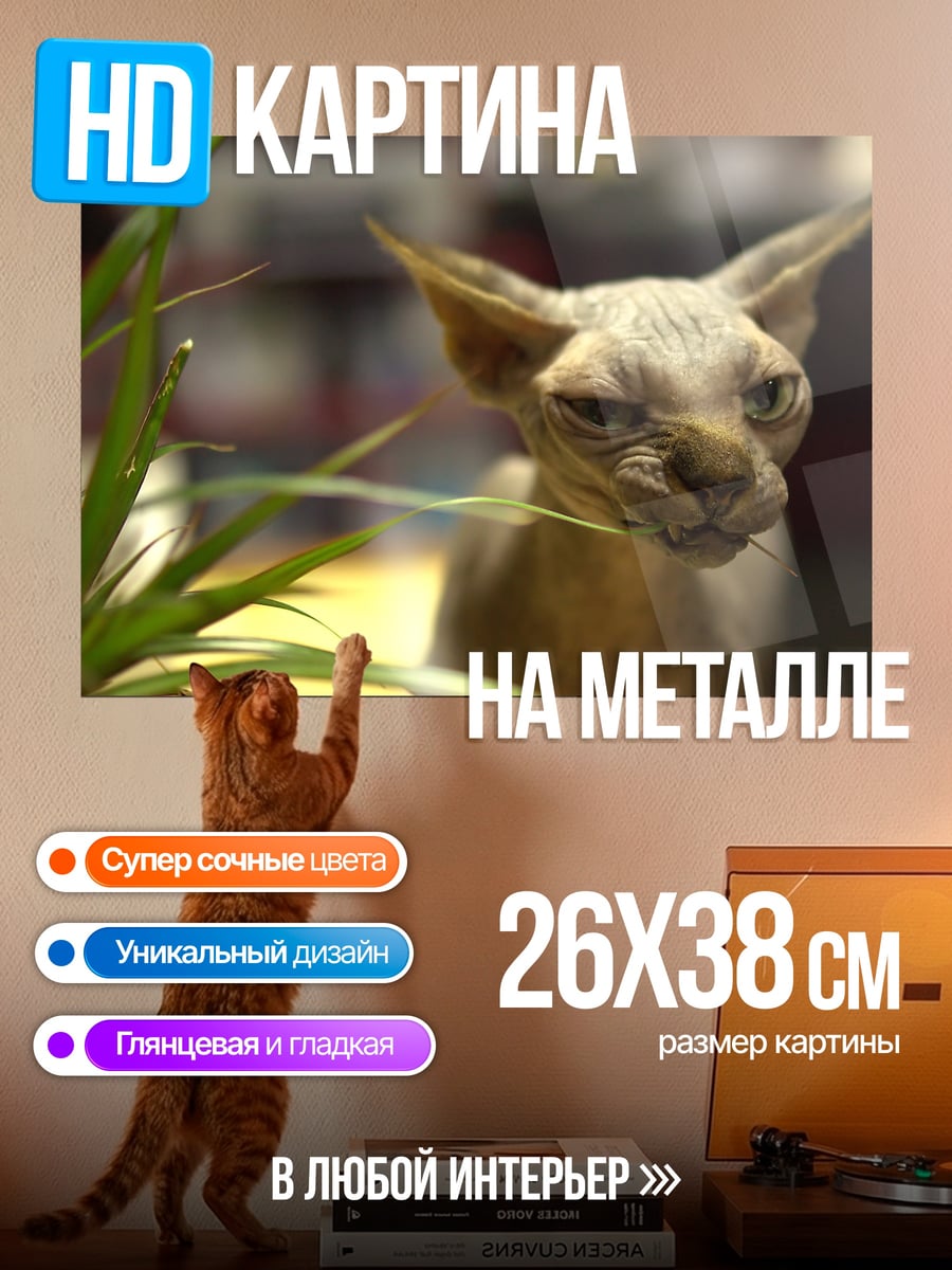 Картина на металле Кот породы сфинкс