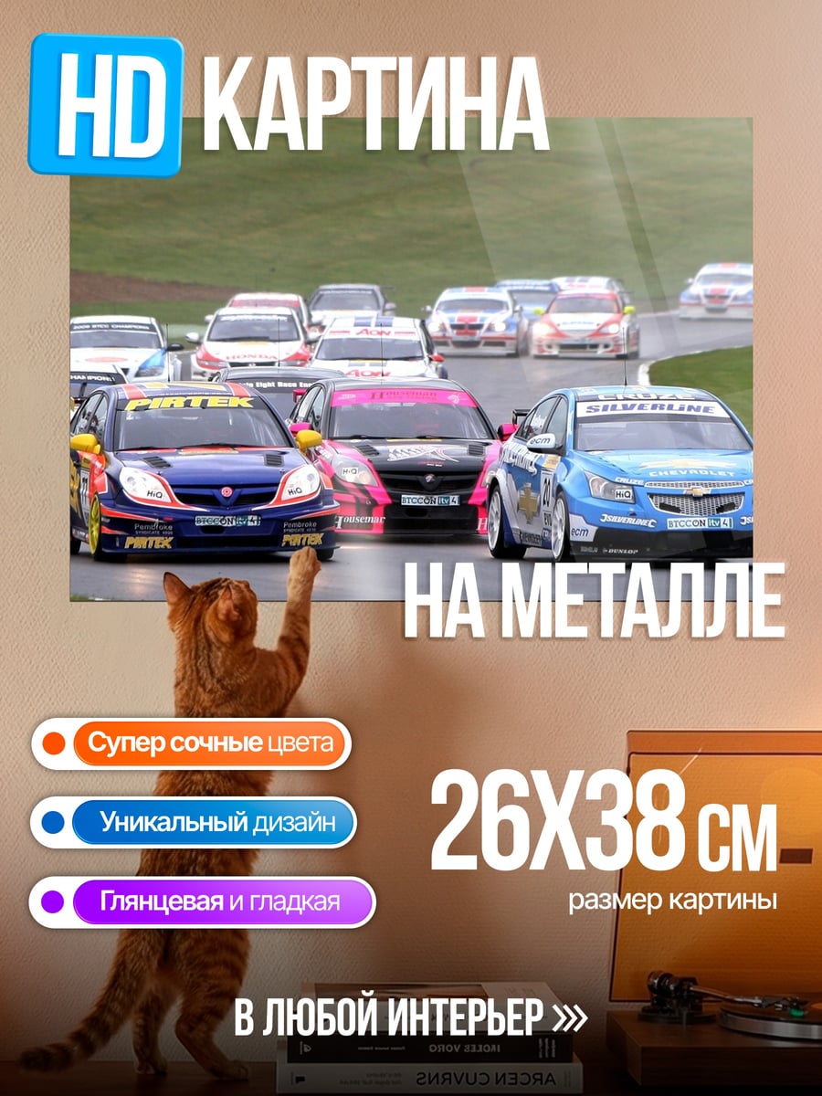 Картина на металле Гонка на автомобилях