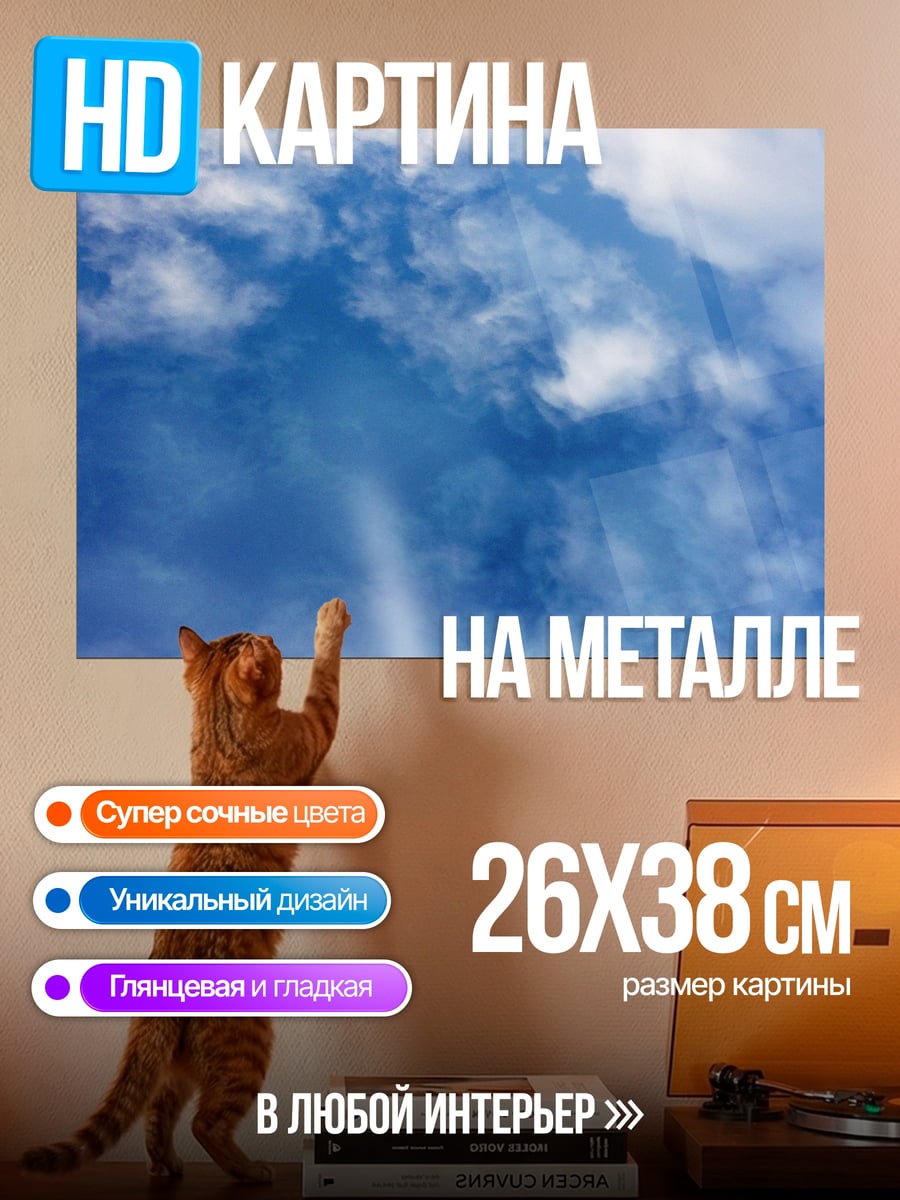 Картина на металле Человек в небе