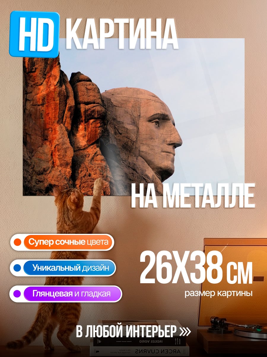 Картина на металле голова Вашингтона