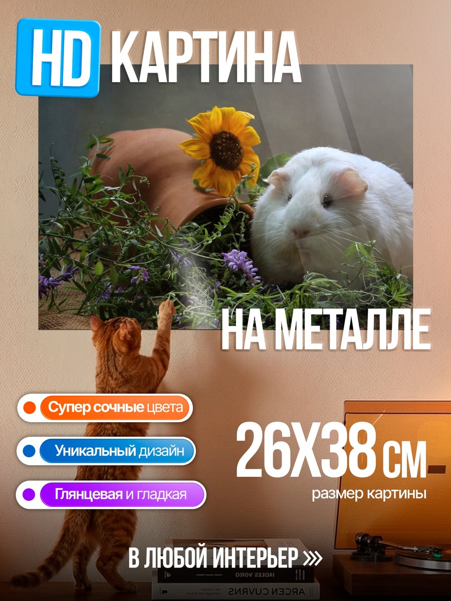 Картина на металле Морская свинка и цветок