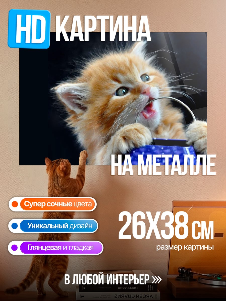 Картина на металле Рыжий котенок
