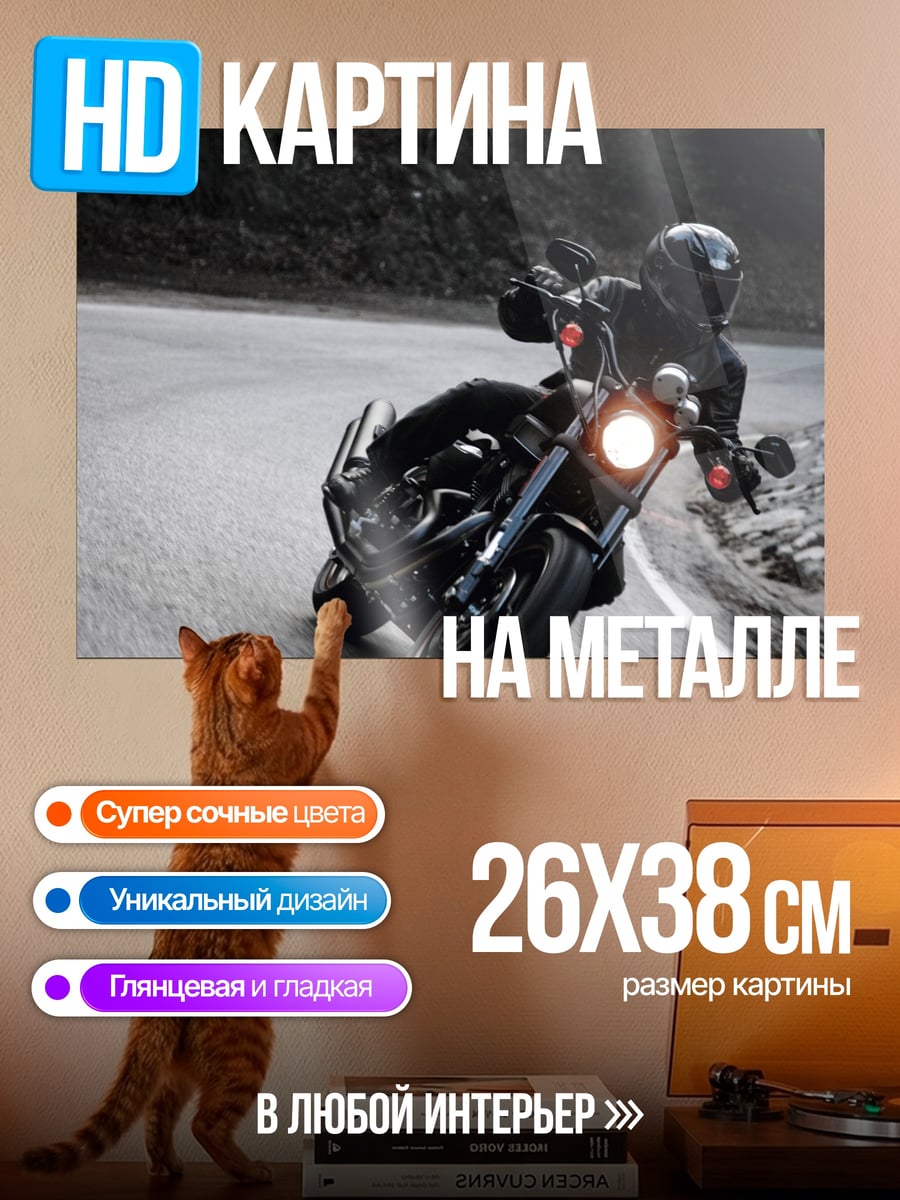 Картина на металле Мотоциклист на дороге