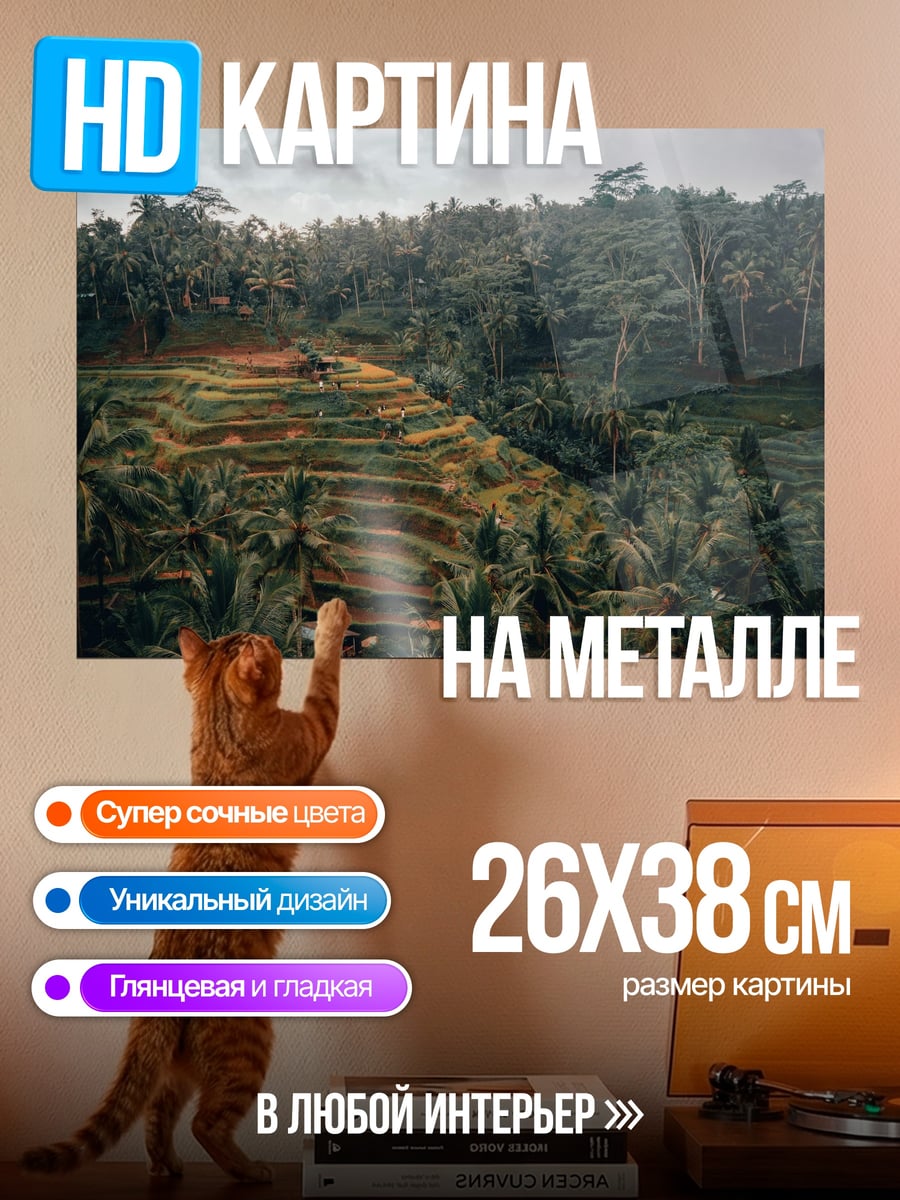 Картина на металле Рисовые террасы