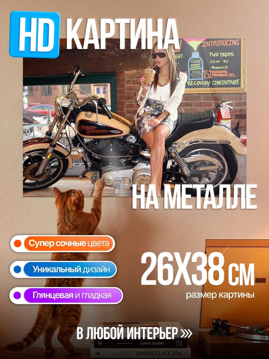 Картина на металле Девушка с мотоциклом