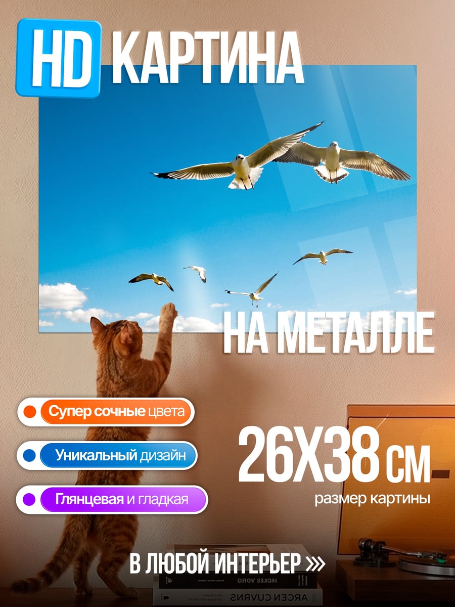 Картина на металле Чайки в небе