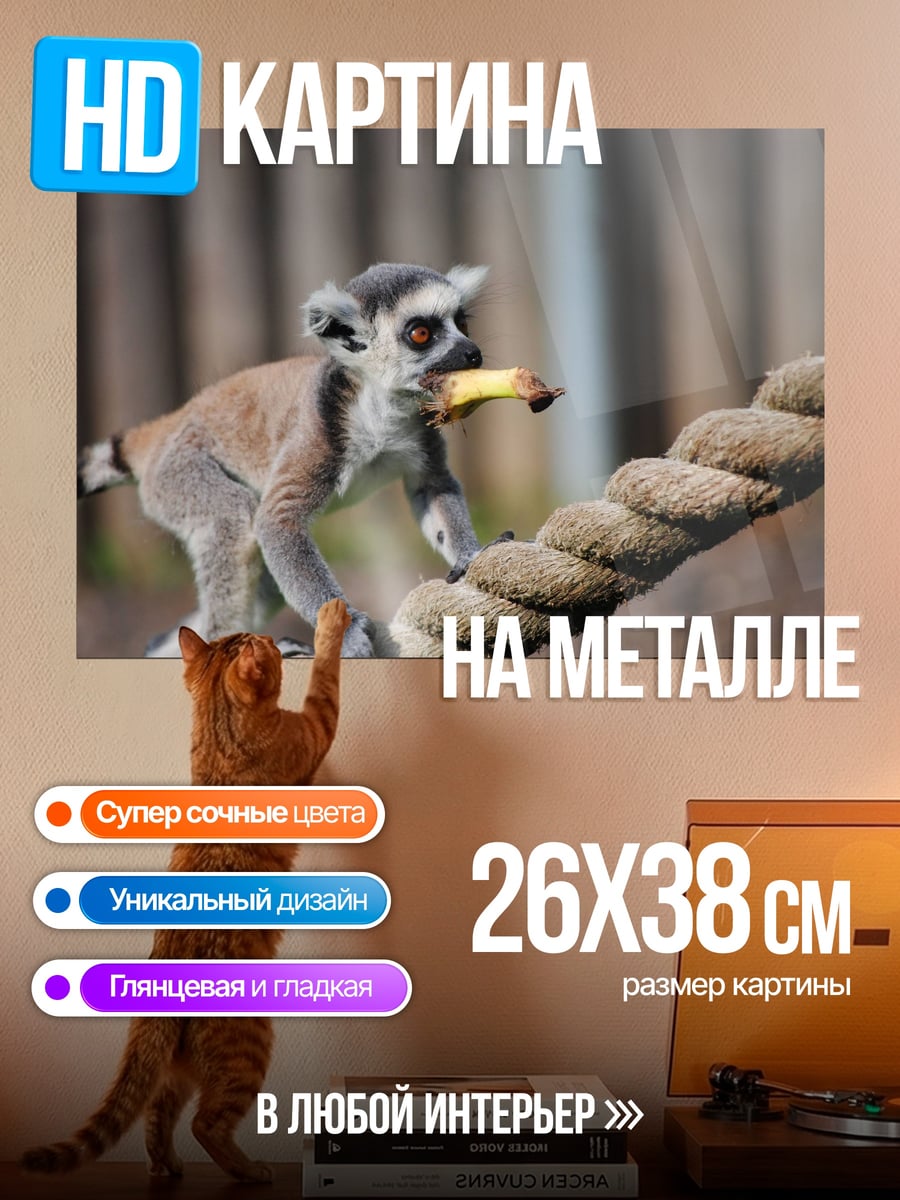 Картина на металле Лемур с бананом