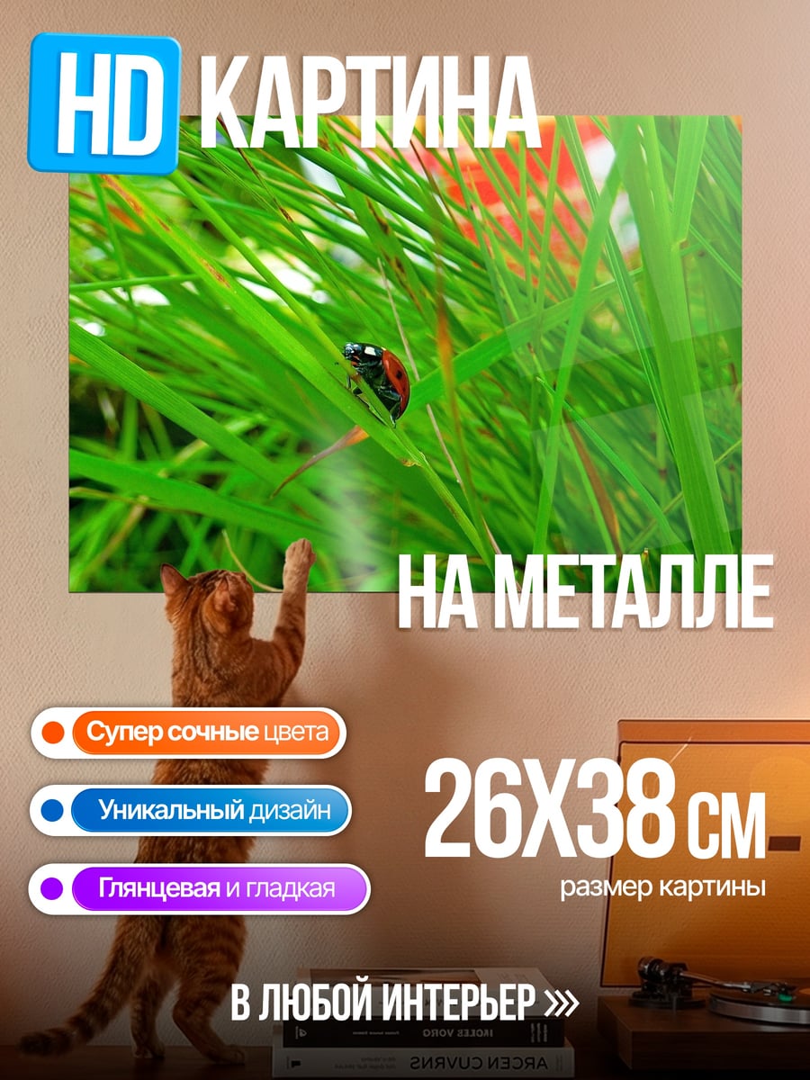 Картина на металле Божья коровка на траве